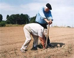 <B>The Good Earth</B> <BR>Andreas Weinand