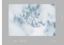 <B>echo</B> <BR>菊地和歌子