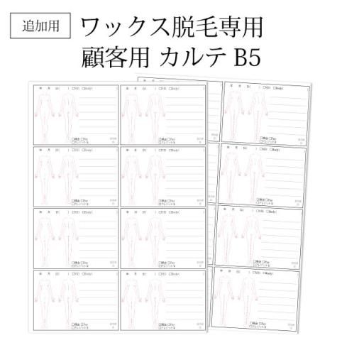 ブラジリアンワックス脱毛 カルテ