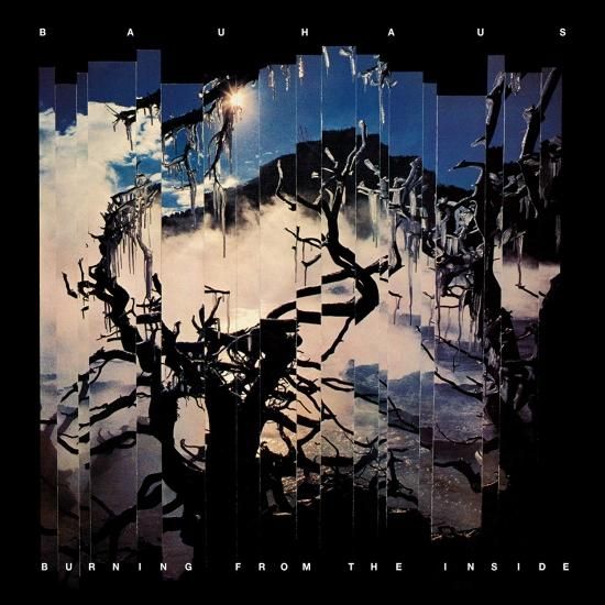 bauhaus burning from the inside lp ltd blue vinyl file