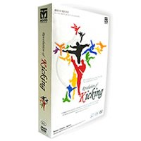 蹴りの革命（DVD2枚セット）