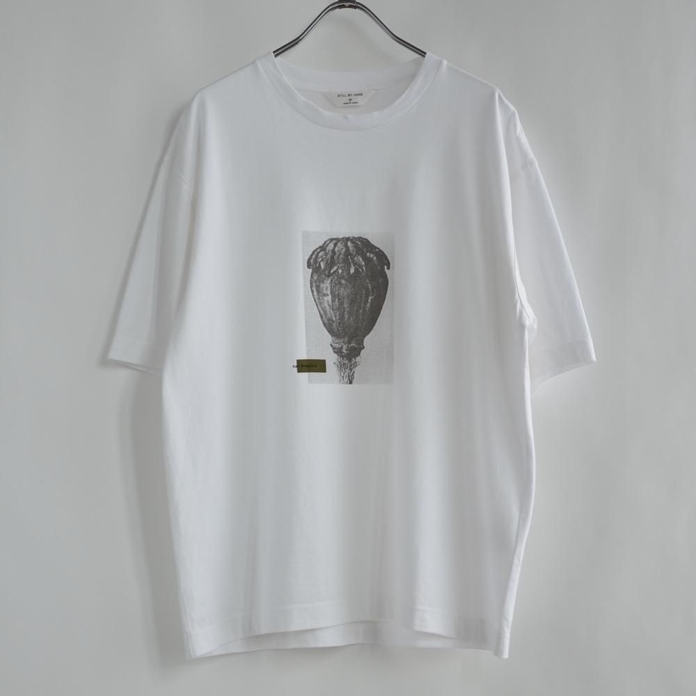 プリントTシャツ2CS05212