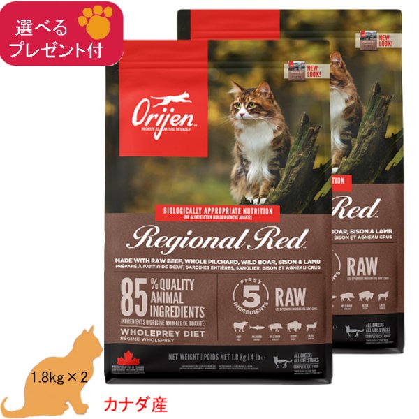 オリジン キャット＆キティ