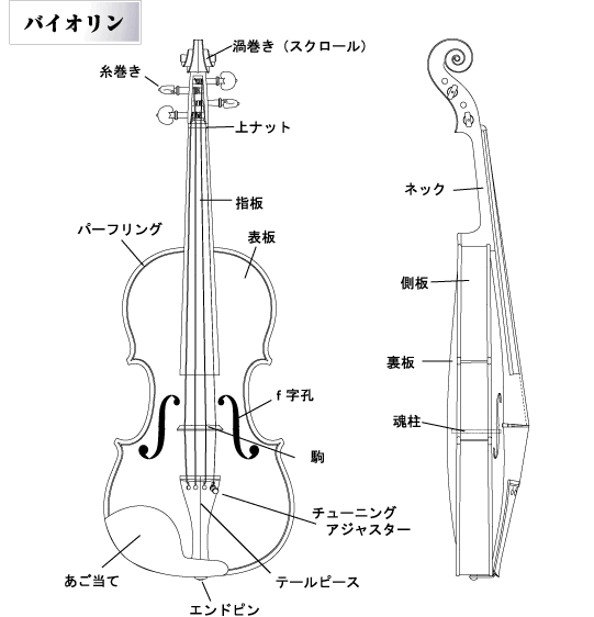 鈴木バイオリン SUZUKI / NO.200（アウトフィット バイオリン 初心者セット）分数サイズもございます - 大阪 bloomz 楽器