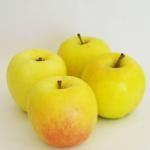  Τ䤭 1kg  ٤ޤ