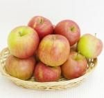 󤵤եࡡʥΥ 1kg ٤ޤ