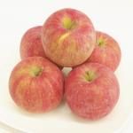  1kg ٤ޤ