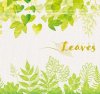 Leaves -リーブス-
