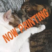 Kijitorano2026CDַ<img class='new_mark_img2' src='https://img.shop-pro.jp/img/new/icons1.gif' style='border:none;display:inline;margin:0px;padding:0px;width:auto;' />