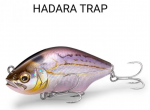 HADARA TRAP