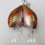 J-2 & J-2.5