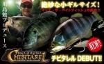 ジャッカル CHIBITAREL(チビタレル)