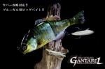 <img class='new_mark_img1' src='https://img.shop-pro.jp/img/new/icons20.gif' style='border:none;display:inline;margin:0px;padding:0px;width:auto;' />ジャッカル GANTAREL (ガンタレル)
