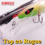 スミスウィック Top 20 Rogue