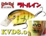 ȥ饤󥰡KVD8.0 ޥʥॹӥ롡ȥ륤