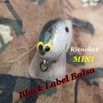 Black Label Tackle/　ブラックレーベルタックル　リカシェイ・スクエアビルクランク ミニ