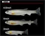 4/4入荷予定ご予約商品 ハドルスイマー 4インチ リアルカラー(エコ対応品)