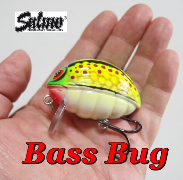 <img class='new_mark_img1' src='https://img.shop-pro.jp/img/new/icons20.gif' style='border:none;display:inline;margin:0px;padding:0px;width:auto;' />SALMO Bass Bug 5.5cm
