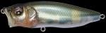 お取り寄せ MEGABASS POPMAX TAKUMI HASU