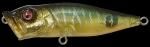 お取り寄せ MEGABASS POPX GIN TONIC TIGER