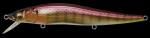 お取り寄せ MEGABASS VISION ONETEN M END MAX