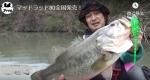 <img class='new_mark_img1' src='https://img.shop-pro.jp/img/new/icons15.gif' style='border:none;display:inline;margin:0px;padding:0px;width:auto;' />【20%オフ!】フロッグ マッドラッド80