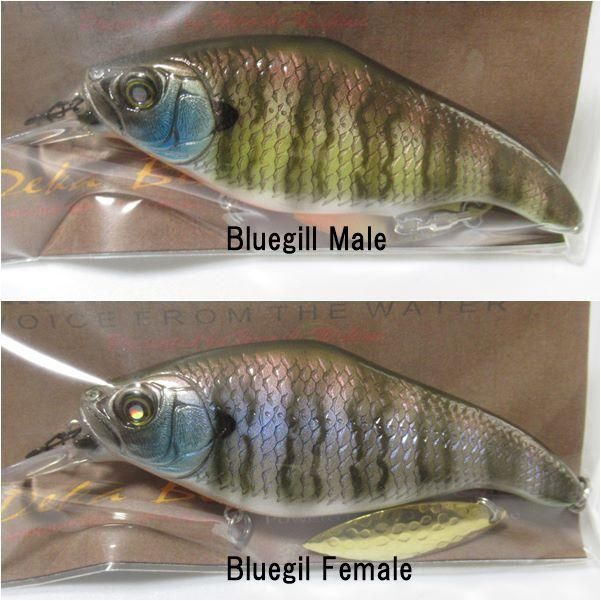 ニシネルアーワークス デカビーツァMG5 / NISHINE LURE WORKS