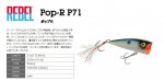 REBEL POP-R P71 / レーベル　ポップR　P71