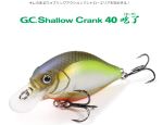 issei GC Shallow CRANK 40SR / å GC 40SR֥