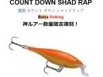 RAPALA COUNT DOWN SHAD RAP 8 / ѥ ȥ󥷥åɥå 8  CDSR8