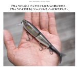 イマカツ バズビルマグナム ジュニア