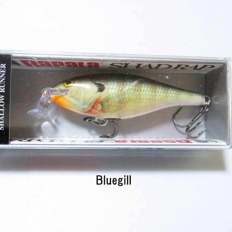 ѥ åɥå SSR- #Bluegill