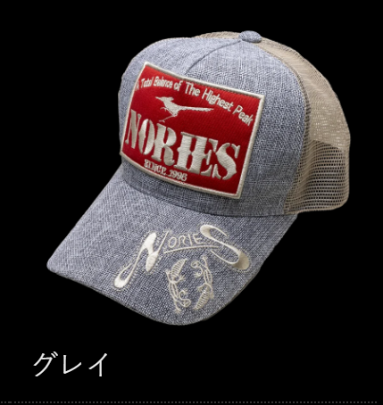 Υ꡼ MESH CAP 09/å奭å 09쥤