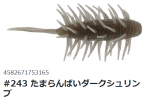HIDEUP ハイドアップ コイケシュリンプ ミディアム #243 たまらんばいダークシュリンプ