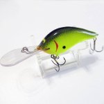 Flat Shad Baits/フラットシャッドベイツのことならバスショップナイルにお任せ！通販OK!