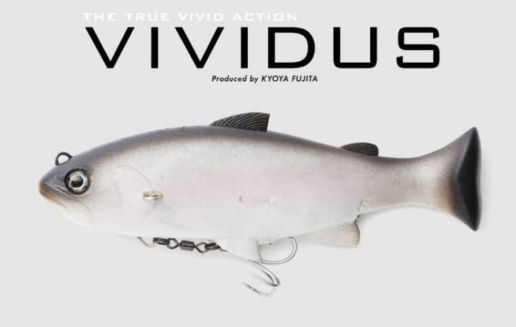  Jackall VIVIDUS / å  RT顼