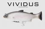 Jackall VIVIDUS / ジャッカル ヴィヴィダス RTカラー