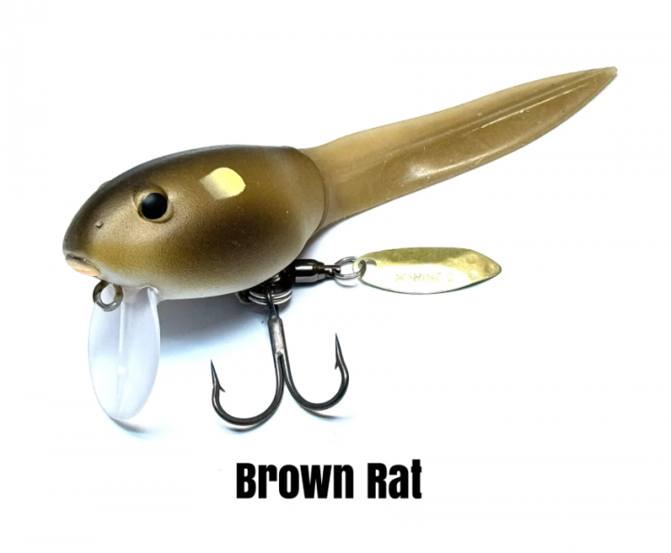 ˥ͥ륢 BQ #Brown Rat