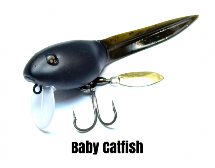 ˥ͥ륢 BQ #Baby Catfish