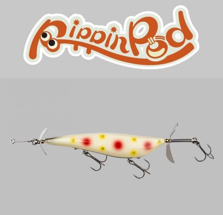 Jackall RIPPIN POD / å åԥݥå