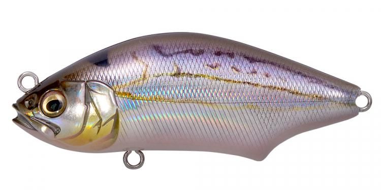 Megabass HADARA TRAP / ᥬХ ϥȥå #FA HIIRAGI