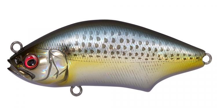 バスプロショップ ナイル