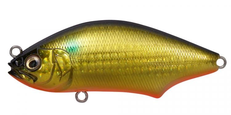 Megabass HADARA TRAP / ᥬХ ϥȥå #GG KIN BORA