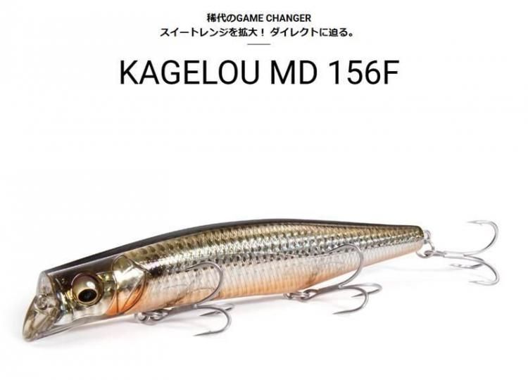 バスプロショップ ナイル