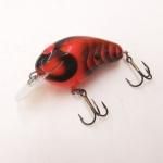 硼å륢 󥯥٥ B SHALLOW  # Red Craw