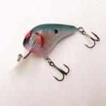 硼å륢 󥯥٥ SSM # Foil Bluegill