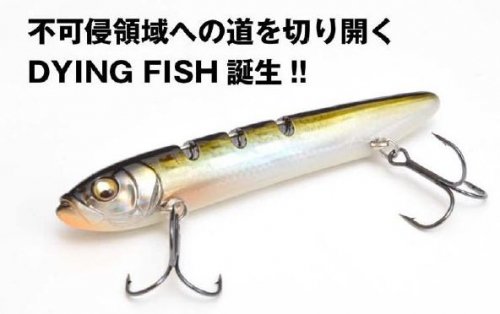 ᥬХ DYING FISH / 󥰡եå