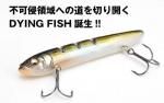 メガバス 『 DYING FISH / ダイイング・フィッシュ』