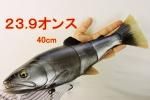 サベージギア ラインスルートラウト40cm