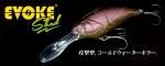 Deps イヴォークシャッド